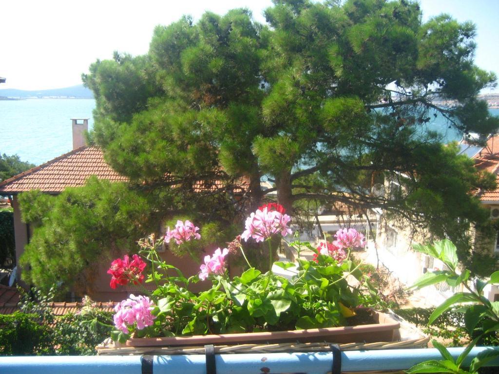 Отель Mavi Pension Айвалык Экстерьер фото